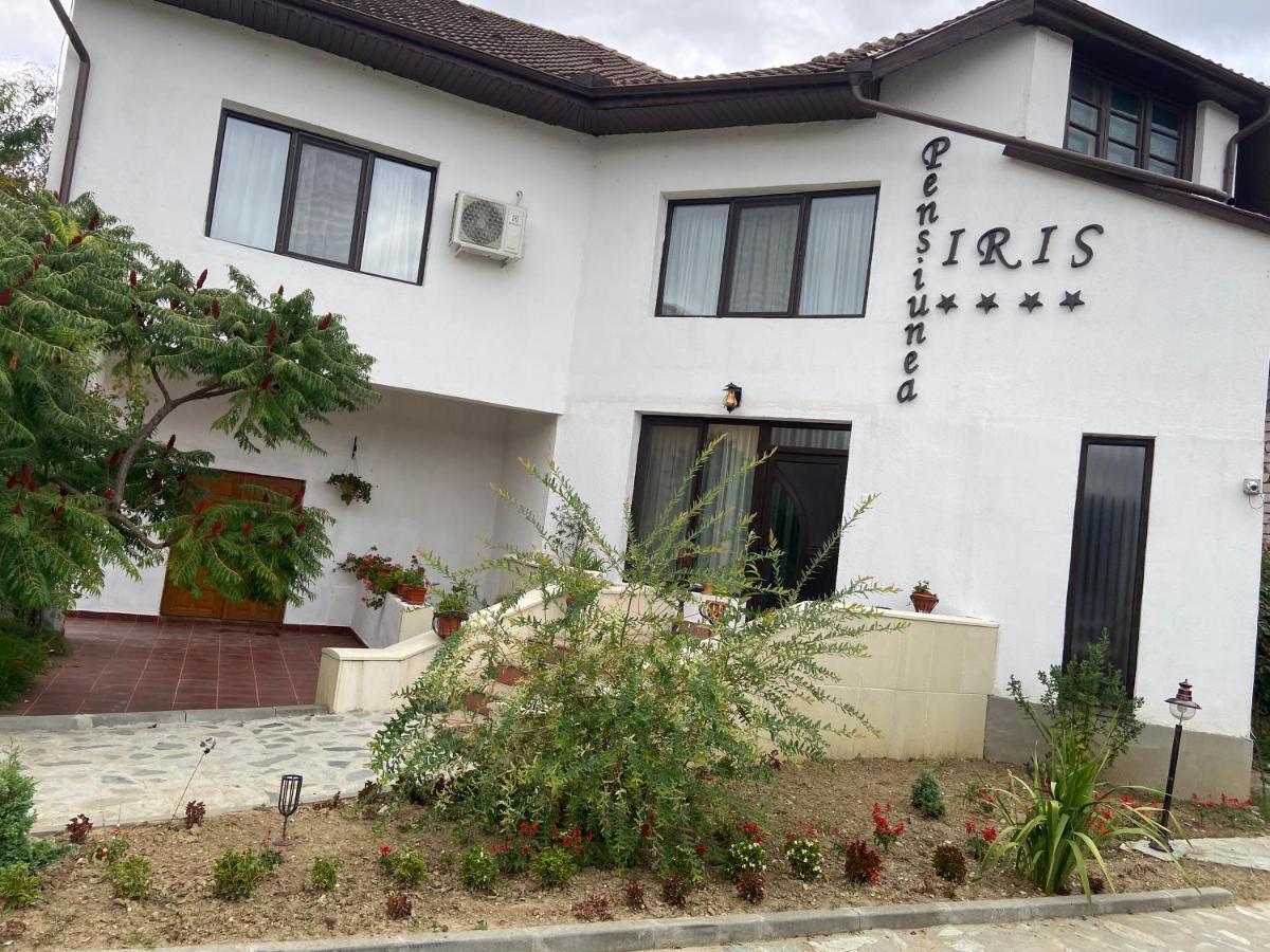 Pensiunea Iris Turcineşti 외부 사진